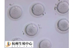 杭州哪个公立医院可以供卵做三代试管婴儿？